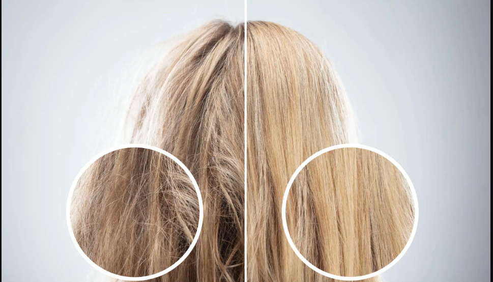 طريقة العناية بالشعر الجاف