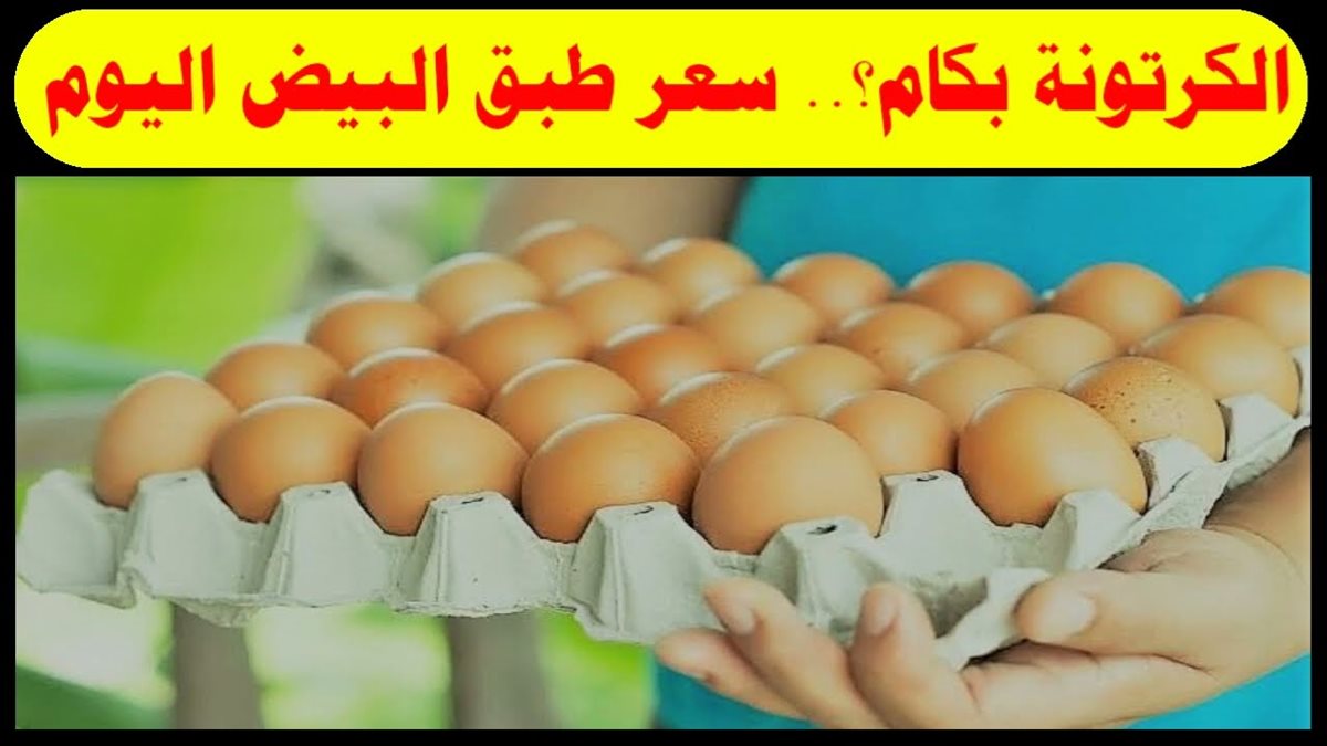 سعر كرتونة البيض اليوم للمستهلك