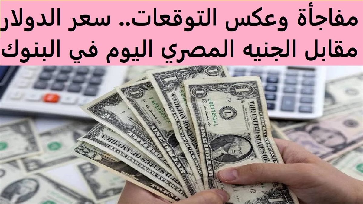 سعر الدولار اليوم