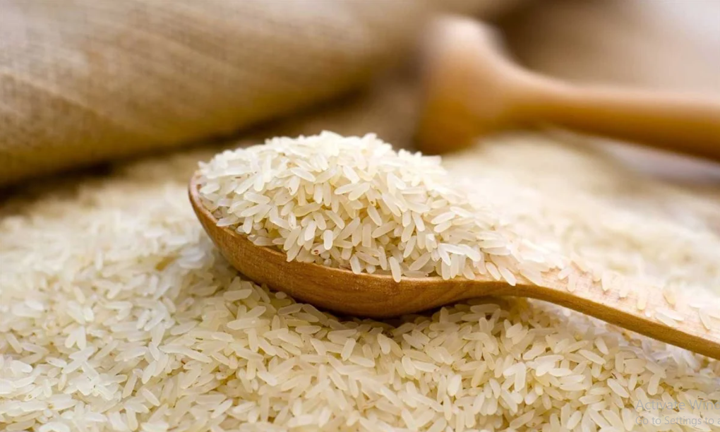 سعر الأرز الشعير اليوم