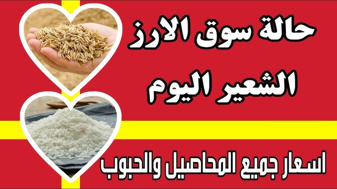 سعر الأرز الشعير اليوم