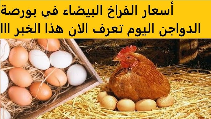 بورصة الدواجن