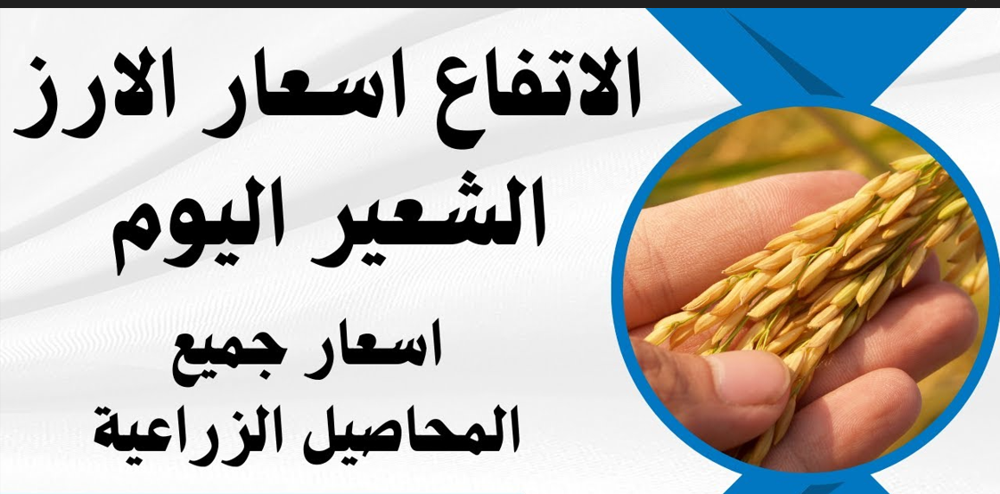 سعر الأرز الشعير اليوم