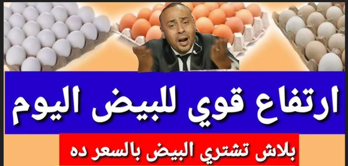 سعر كرتونة البيض اليوم للمستهلك