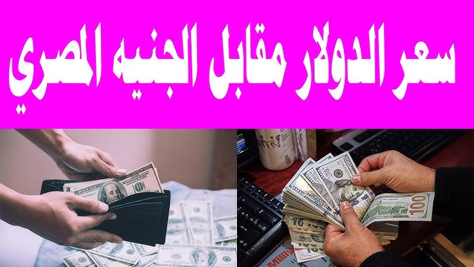 سعر الدولار اليوم مقابل الجنيه المصري