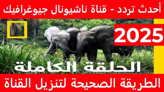تردد قناة ناشيونال جيوغرافيك 2025