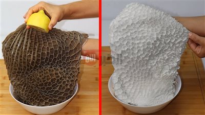 طريقة تنظيف الكرشة بالفوار.. خطوات بسيطة لتنظيف صحي وخالي من الروائح 