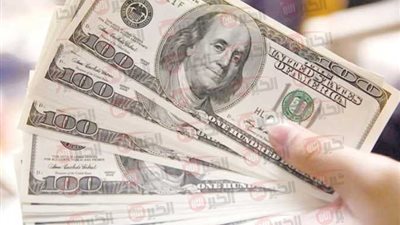 ثبات يسيطر على سعر الدولار مقابل الجنيه المصري بالبنوك المصرية والسوق السوداء