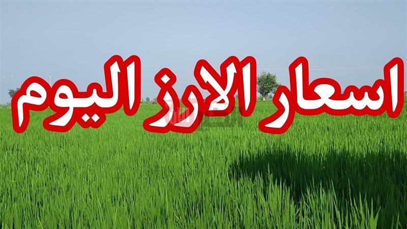 سعر طن الأرز الشعير