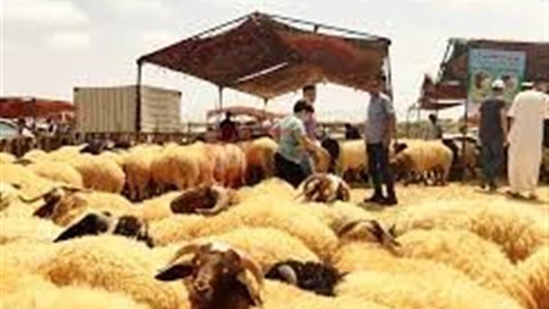 متى يكون عيد الاضحى