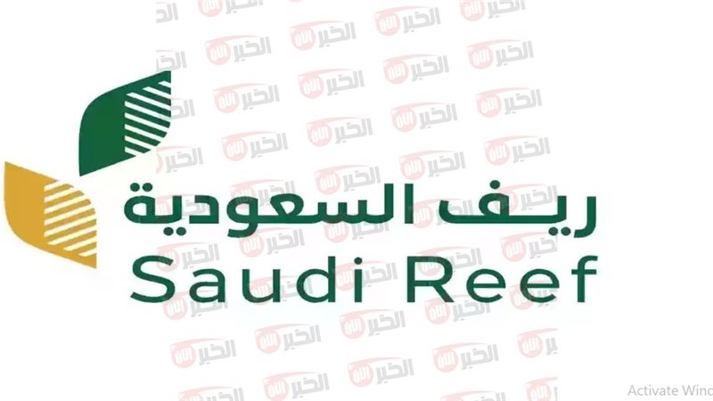 دعم الأسر المنتجة