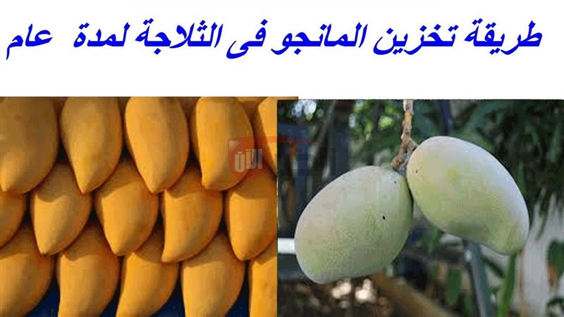 طريقة تخزين المانجو