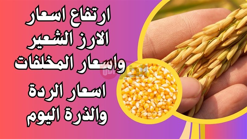 ارتفاع أسعار الأرز