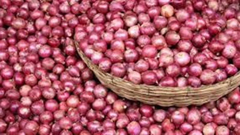 سعر قنطار البصل اليوم