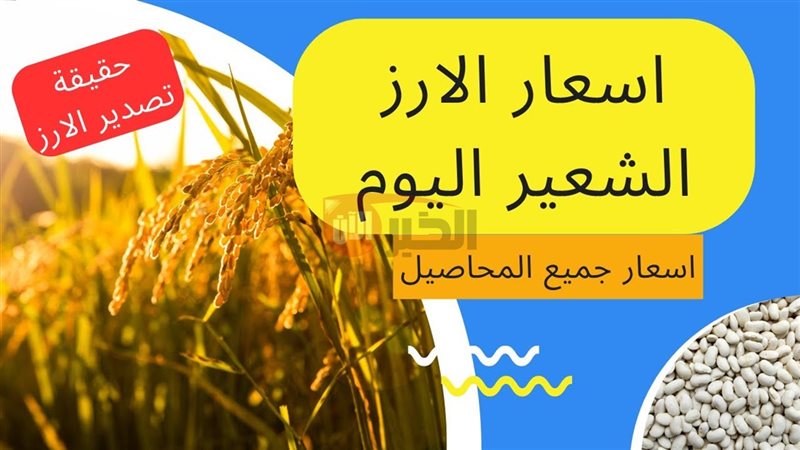 سعر الأرز الشعير