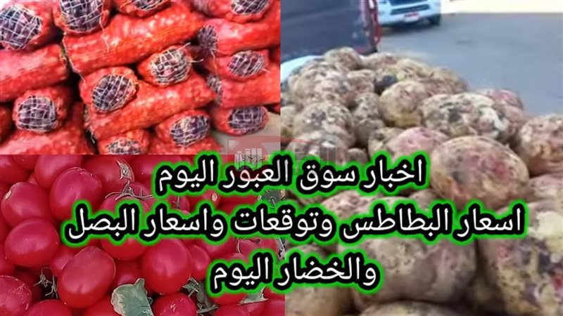 أسعار البطاطس اليوم