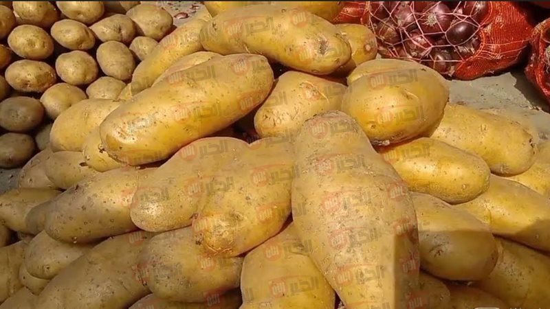 أسعار البطاطس اليوم