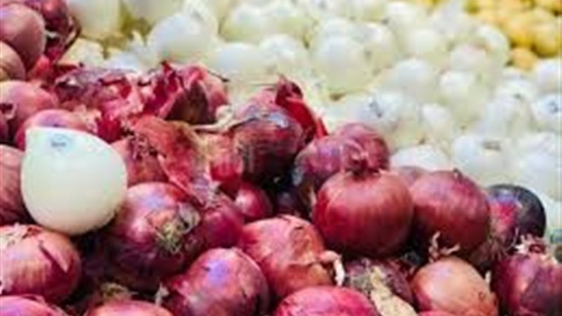 اسعار البصل الآن