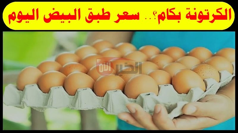 سعر كرتونة البيض