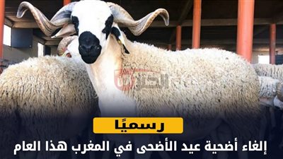 قرار ملكي بإلغاء شعيرة عيد الأضحى بالمغرب بسبب الجفاف وارتفاع الأسعار (تفاصيل) 