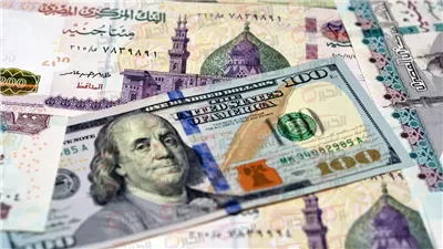 سعر الدولار مقابل الجنيه المصري اليوم الخميس 29/5/2025 في البنوك والسوق السوداء