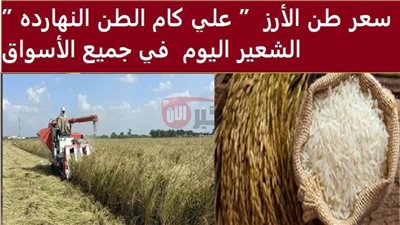 سعر الأرز الشعير اليوم الخميس 29/5/2025 للمستهلكين والتجار في مصر
