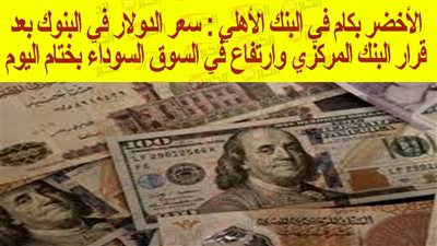 ارتفاع سعر الدولار اليوم بالبنك الأهلي مقابل الجنيه المصري.. ما وراء ذلك؟