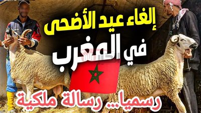 رسميًا إلغاء شعيرة عيد الأضحى بالمغرب لعام 2025 بقرار ملكي.. الأسباب والتفاصيل