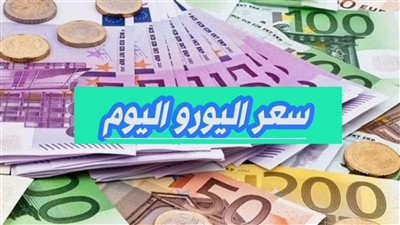 لماذا ارتفع سعر اليورو مقابل الجنية المصري؟ أهم الأسباب والعوامل المؤثرة