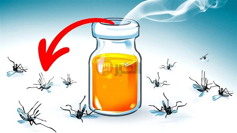 طرق التخلص من الناموس