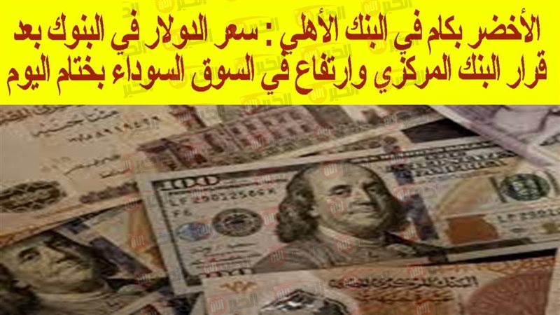  سعر الدولار اليوم