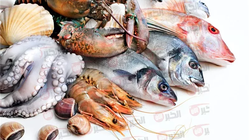 اسعار السمك اليوم