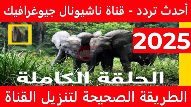 تردد قناة ناشيونال