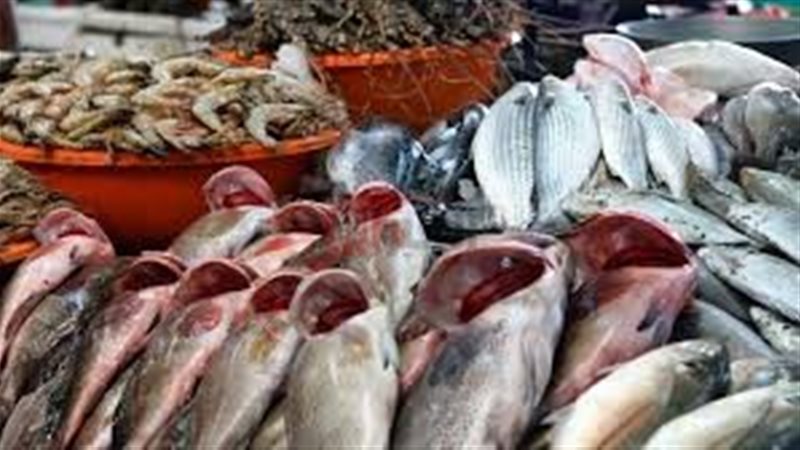 اسعار السمك اليوم