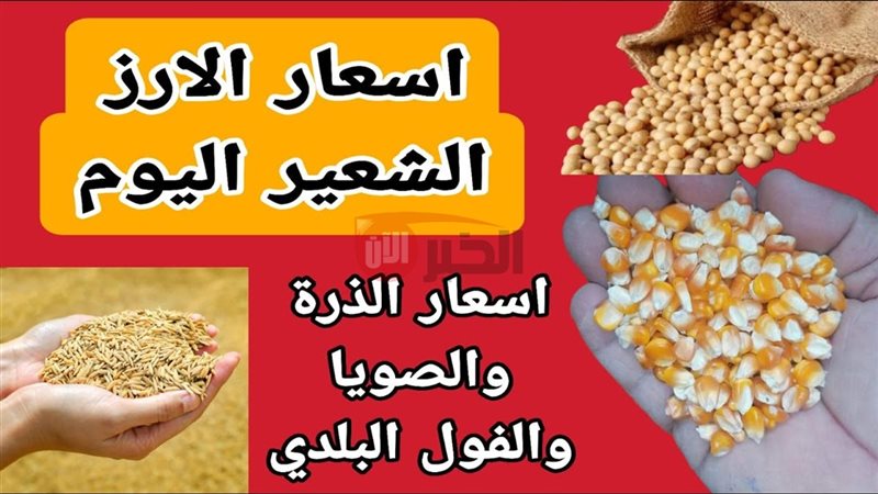 سعر طن الأرز الشعير