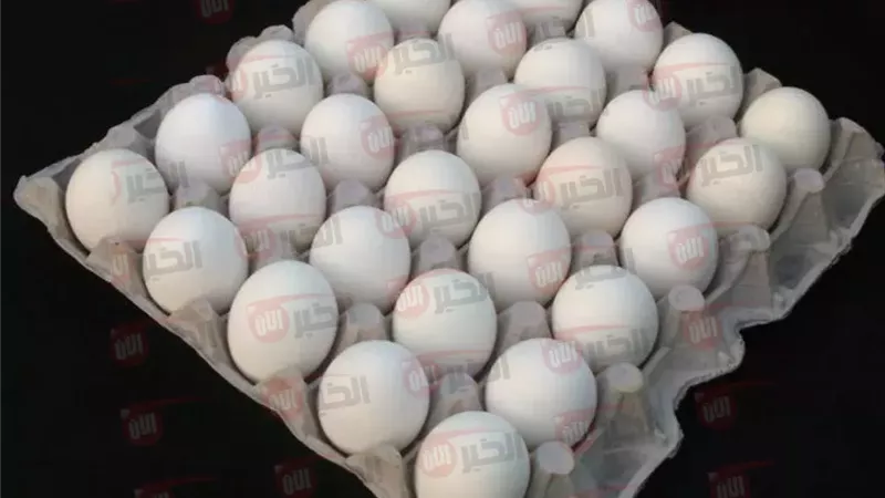 سعر كرتونة البيض
