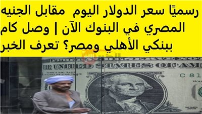 ارتفاع سعر الدولار اليوم البنك الأهلي مقابل الجنية المصري.. ما السبب؟