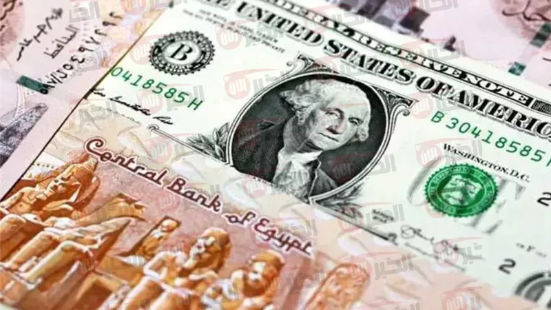 سعر الدولار اليوم