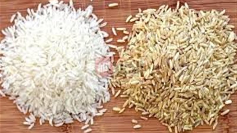 سعر الأرز الشعير