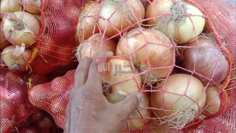 سعر البصل الان