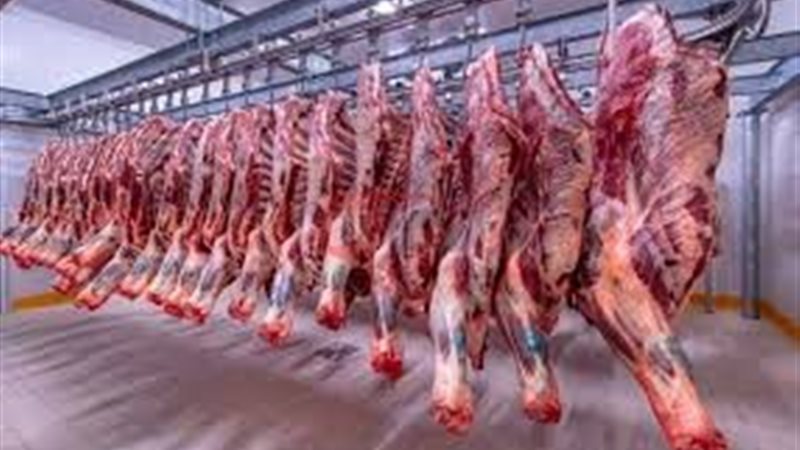 اسعار اللحوم اليوم