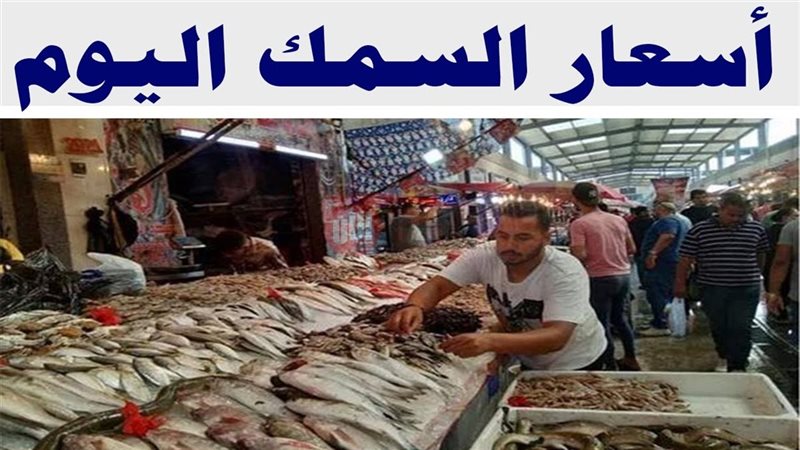 اسعار السمك اليوم