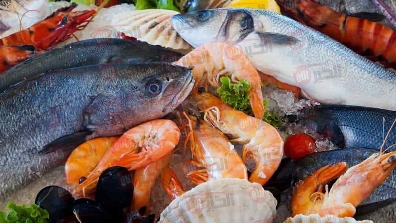أسعار السمك اليوم