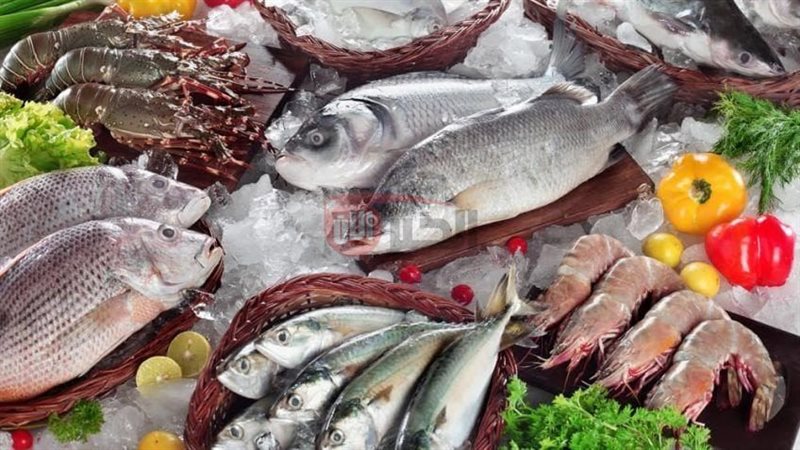 اسعار السمك اليوم