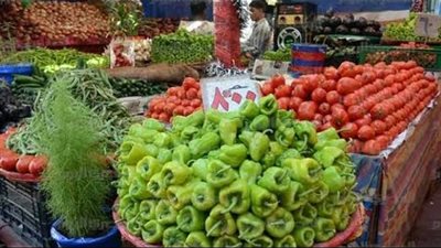 اسعار الخضروات اليوم السبت 14 يونيو 2025.. استقرار نسبي في الأسواق المحلية
