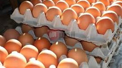 سعر البيض الأحمر اليوم الثلاثاء 2025/6/17 بالمحلات التجارية وفق بورصة المعادن