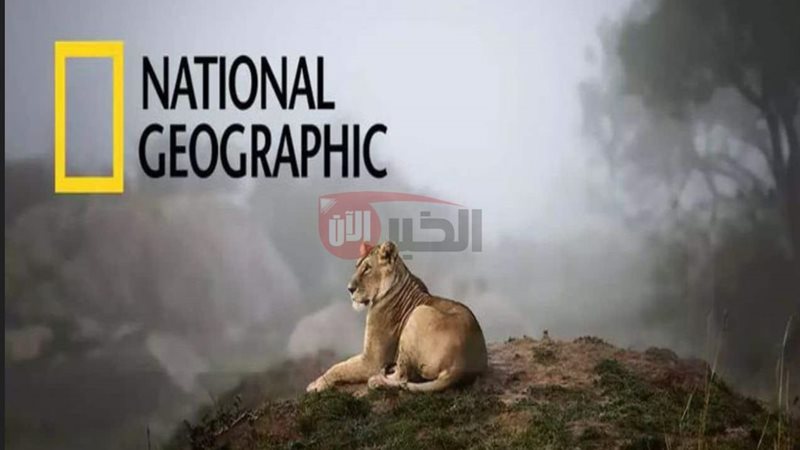 تردد قناة ناشيونال