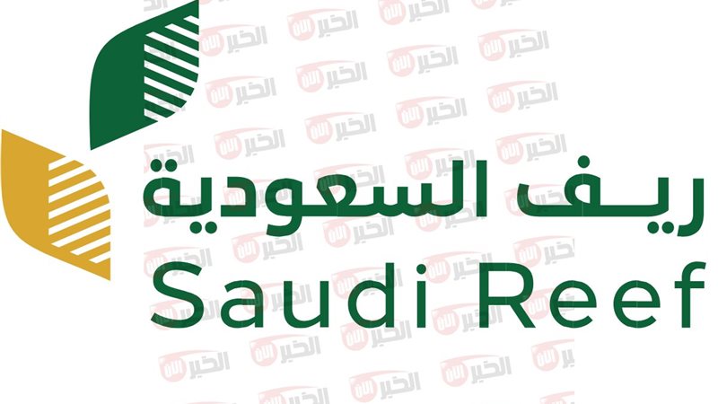 شروط التسجيل في منصة