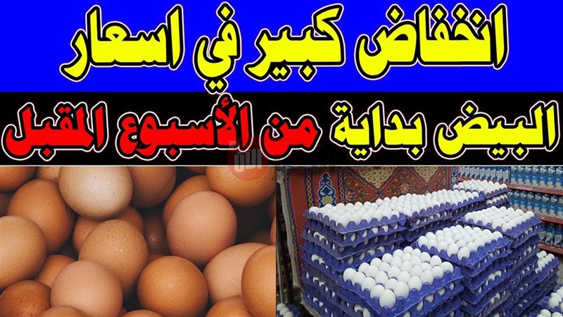 اسعار البيض اليوم