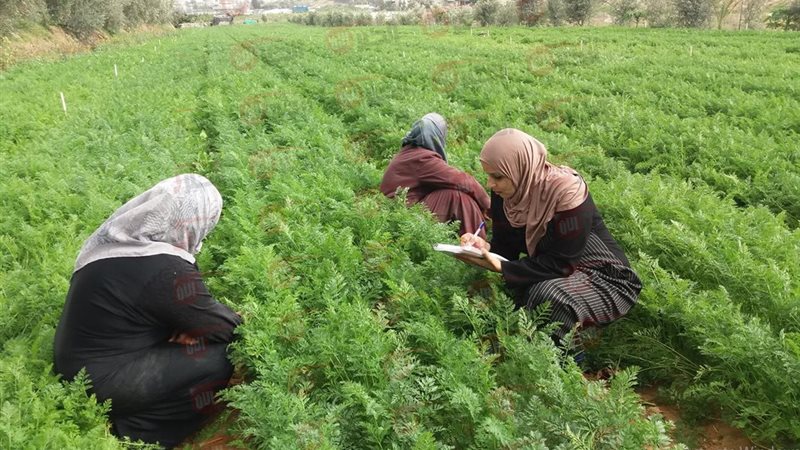 بطاقة الفلاح 2025